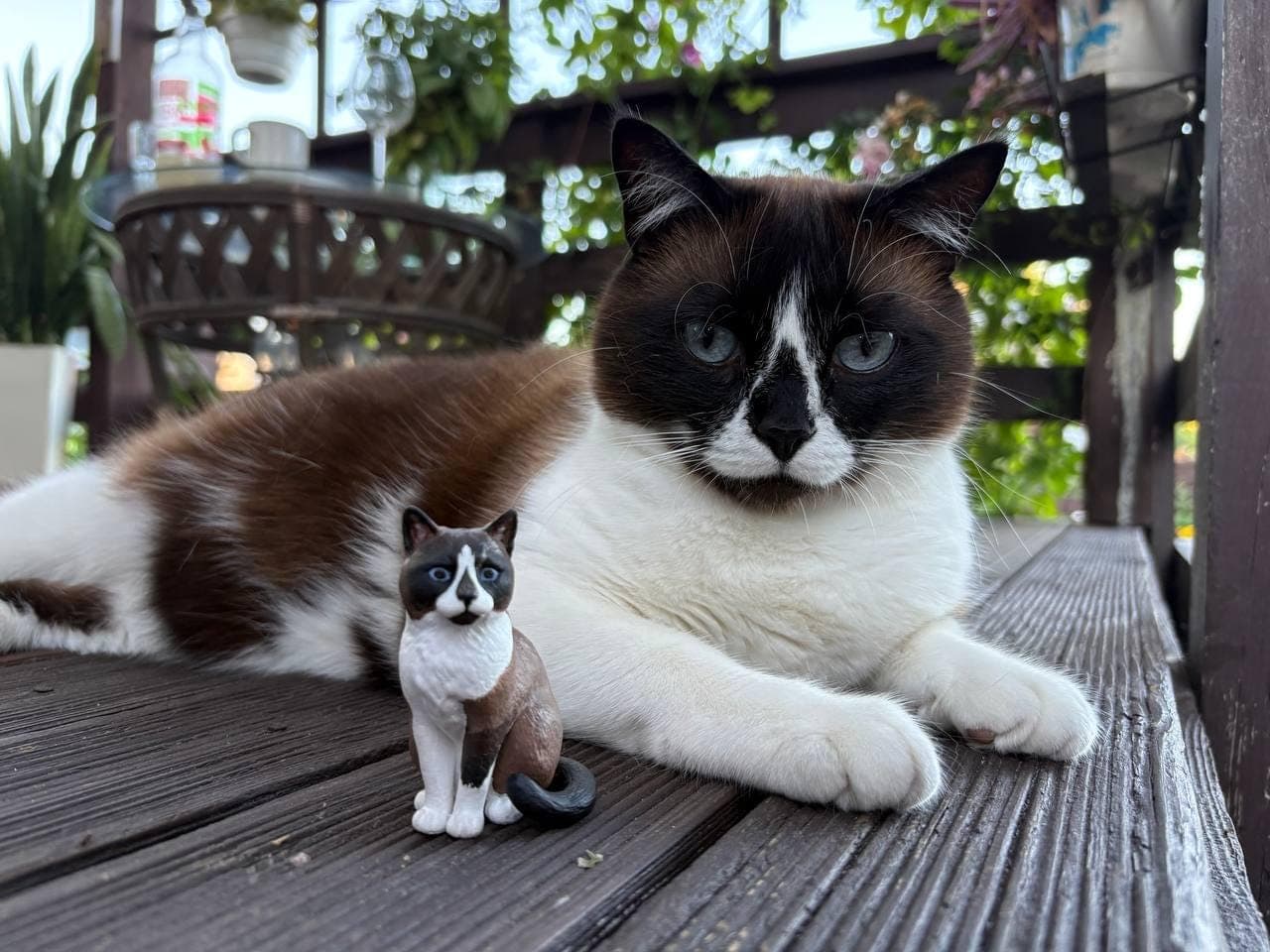 Custom Pet Art  - 3D Printed & Hand-Painted Dog/Cat Statue - Cat Memorial Gift