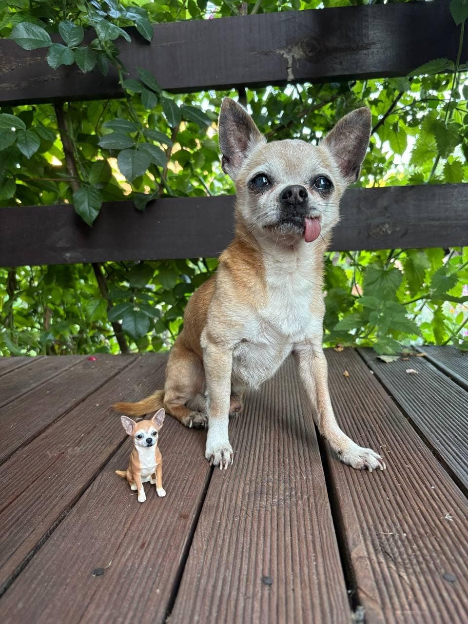Custom Pet Art  - 3D Printed & Hand-Painted Dog/Cat Statue - Dog Keepsake Person